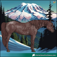 Horse Color:Chocolate Black Mushroom