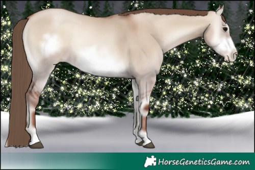 Horse Color:Grullo Pearl Onyx Frame 