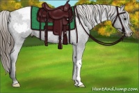 Horse Color:Smoky Black Appaloosa Rabicano