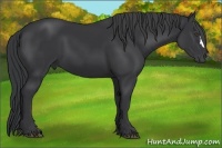 Horse Color:Black Frame 