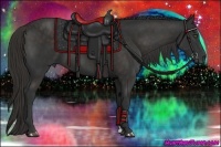 Horse Color:Liver Chestnut Frame 