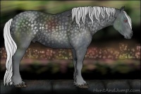 Horse Color:Silver Black Chinchilla 