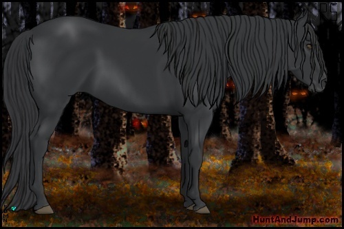 Horse Color:Black Frame 