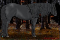 Horse Color:Black Frame