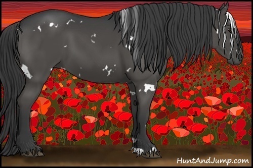 Horse Color:White Spotted Black 