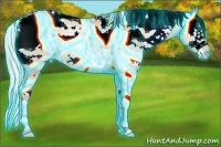 Horse Color:Thunderstruck Silver Smoky Grullo Pearl Frame 