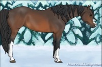 Horse Color:Brown 