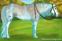 Horse Color:Thunderstruck Silver Blue Onyx Ice Roan Splash 