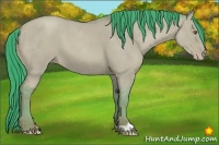 Horse Color:Watercolor Classic Champagne Dun 