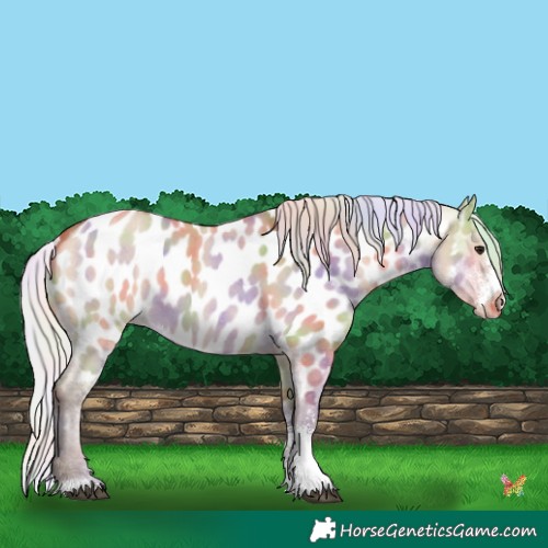Horse Color:Nacre Silver Bay Dun Sabino Near Leopard 