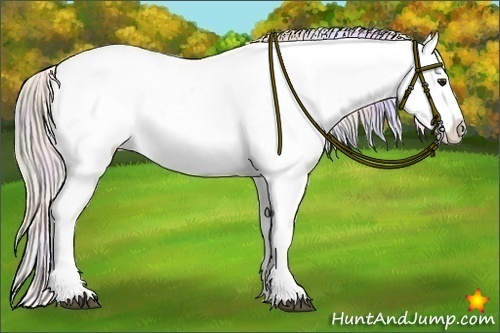 Horse Color:Nacre Silver Bay Dun Sabino Appaloosa 