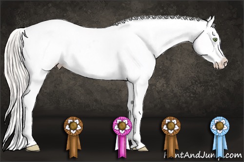 Horse Color:White Spotted Silver Sable Cream Champagne Appaloosa 