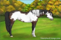 Horse Color:Bay Frame