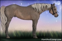 Horse Color:Silver Black 