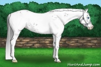 Horse Color:Black Frame 