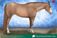 Horse Color:Liver Chestnut Pearl