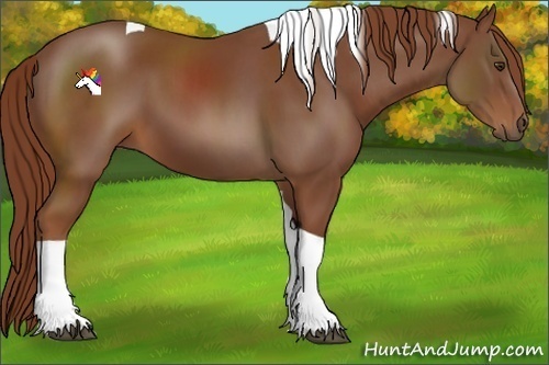 Horse Color:Chestnut Tobiano 