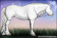 Horse Color:Chocolate Palomino Pearl Frame Appaloosa 
