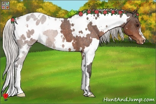 Horse Color:White Spotted Silver Brown Varnish 