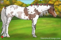 Horse Color:White Spotted Silver Brown Varnish 