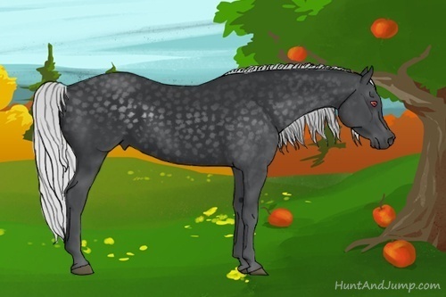 Horse Color:Silver Black Chinchilla 