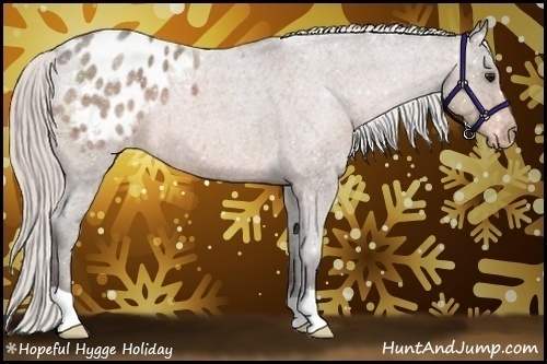 Horse Color:Silver Bay Roan Appaloosa Rabicano