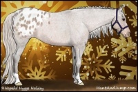 Horse Color:Silver Bay Roan Appaloosa Rabicano