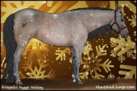 Horse Color:Bay Roan Rabicano
