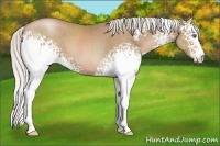 Horse Color:White Spotted Silver Black Pearl 