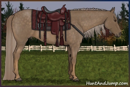 Horse Color:Chocolate Palomino Roan 