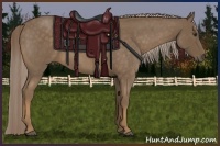 Horse Color:Chocolate Palomino Roan