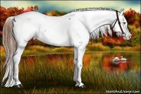 Horse Color:Chestnut Snowcap 
