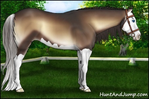 Horse Color:Liver Red Onyx Splash