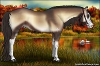 Horse Color:Liver Red Onyx Sabino