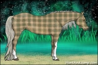 Horse Color:Plaid Silver Buckskin
