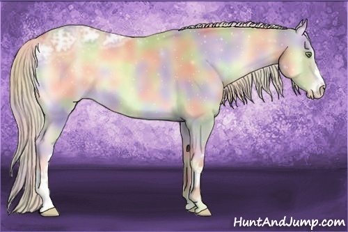 Horse Color:Nacre Cremello Ice Onyx 