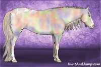 Horse Color:Nacre Cremello Ice Onyx 
