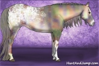 Horse Color:Nacre Chocolate Palomino Ice Onyx 