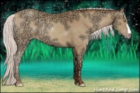 Horse Color:Silver Amber Champagne Ice Rabicano