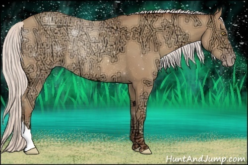 Horse Color:Silver Amber Champagne Ice Rabicano 