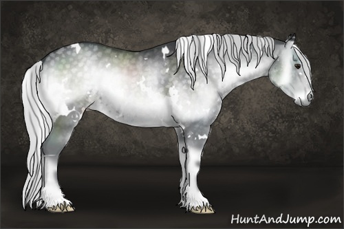 Horse Color:White Spotted Silver Blue Onyx Chinchilla 