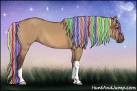 Horse Color:Painted Silver Bay Dun 