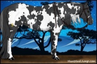 Horse Color:White Spotted Black