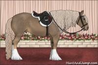 Horse Color:Chocolate Palomino 