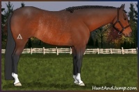 Horse Color:Bay Rabicano 