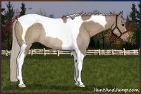 Horse Color:Silver Grullo Tobiano Rabicano