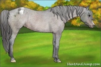 Horse Color:Brown Varnish Rabicano