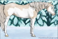 Horse Color:Palomino Ice Pearl Splash Frame 