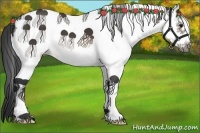 Horse Color:White Spotted Buckskin Frame 
