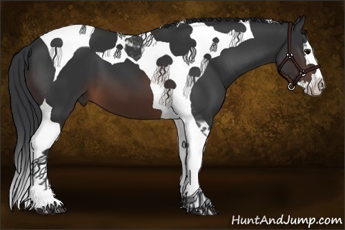 Horse Color:Brown Splash Tobiano
